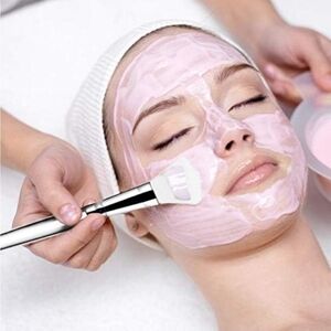 NIB 2 Pcs Norate Silicone Face Mask Applicator Brush Mask Applicator for Facials